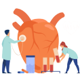 Cardiologist